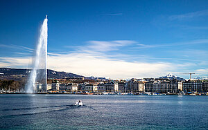 Ginevra